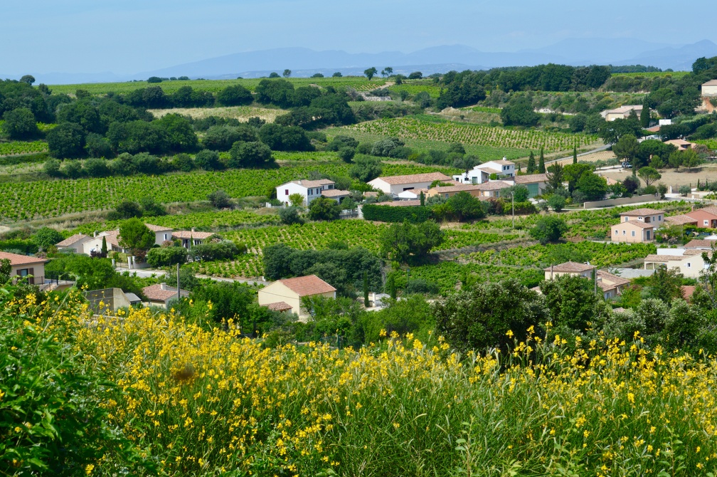 Views of Chateauneuf-du-Papes
