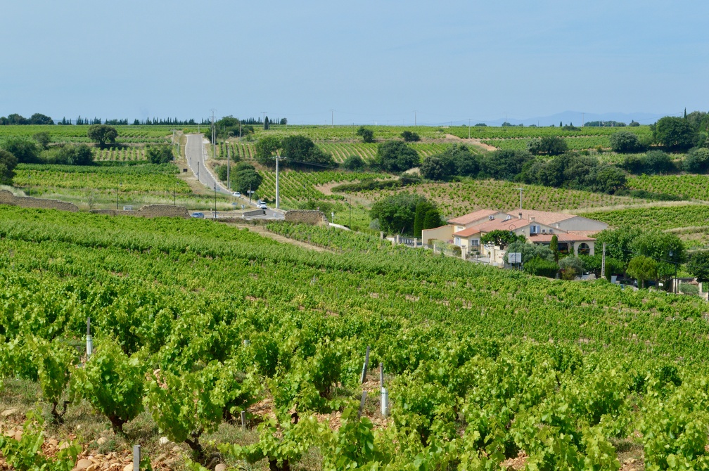 Views of Chateauneuf-du-Papes