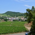 Beaujolais wine excursion