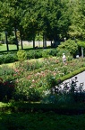 Rose garden at Bern
