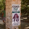 Coati sign