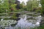 Monet's water lilies garden