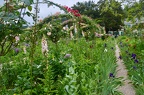 Monet's gardens
